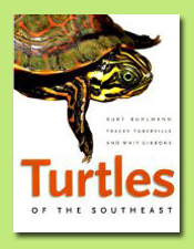 Turtles of the Southeast