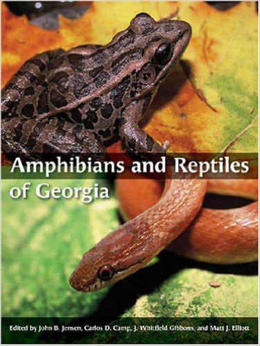 amphibians repltiles