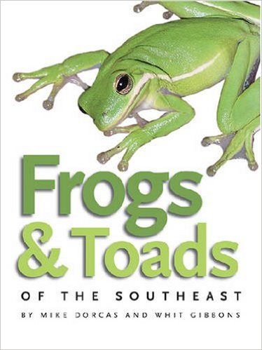 frogs and toads
