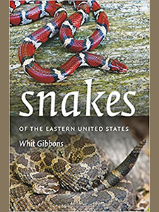 snakes of the eastern
