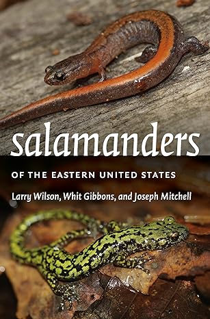 salamanders of the eastern united states